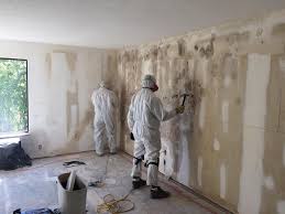 Environmental Consulting for Mold Prevention